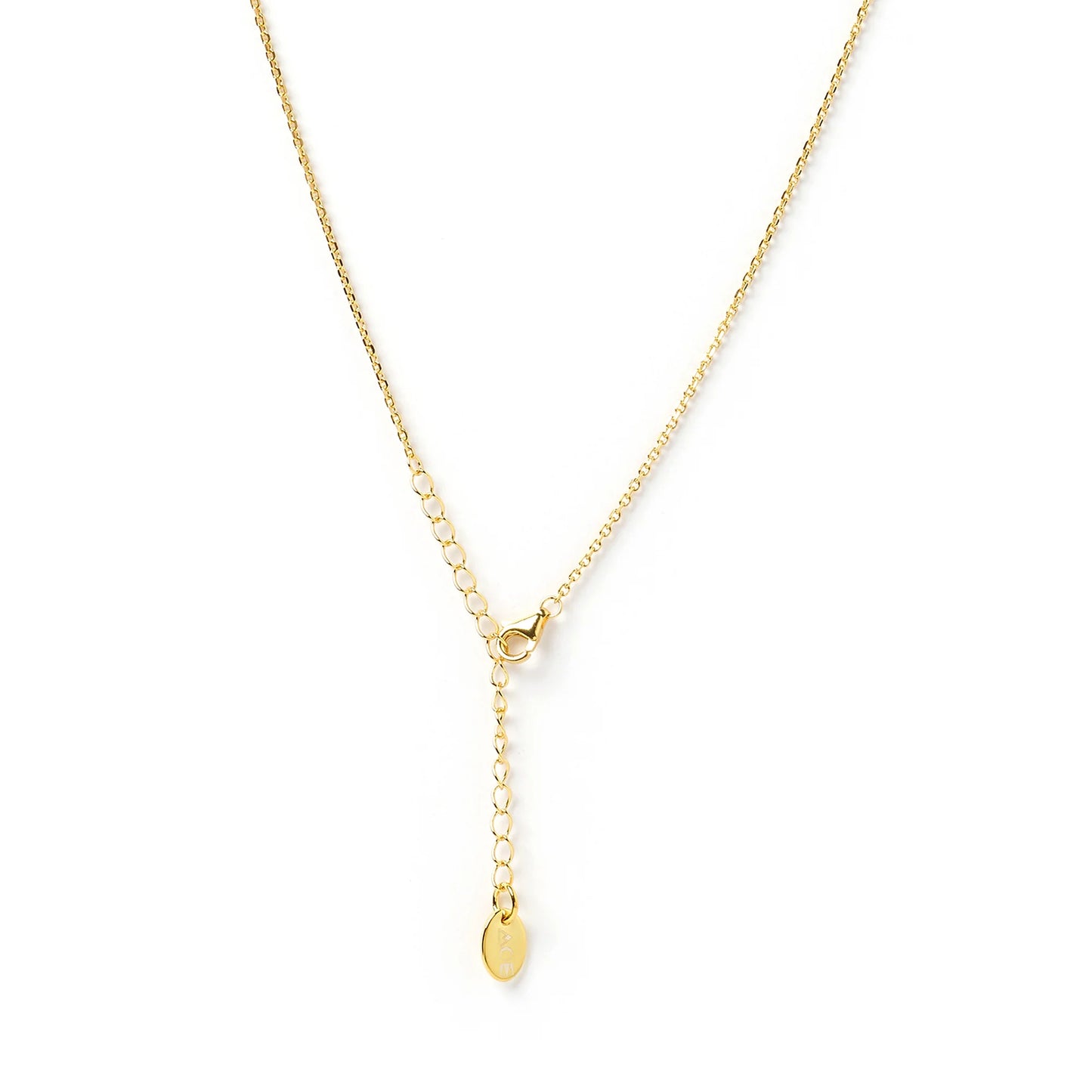 Leo Zodiac Tag Necklace - Gold