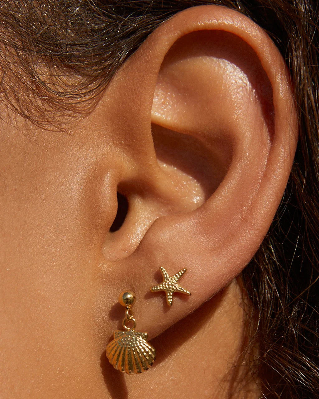 Starfish Earrings Gold