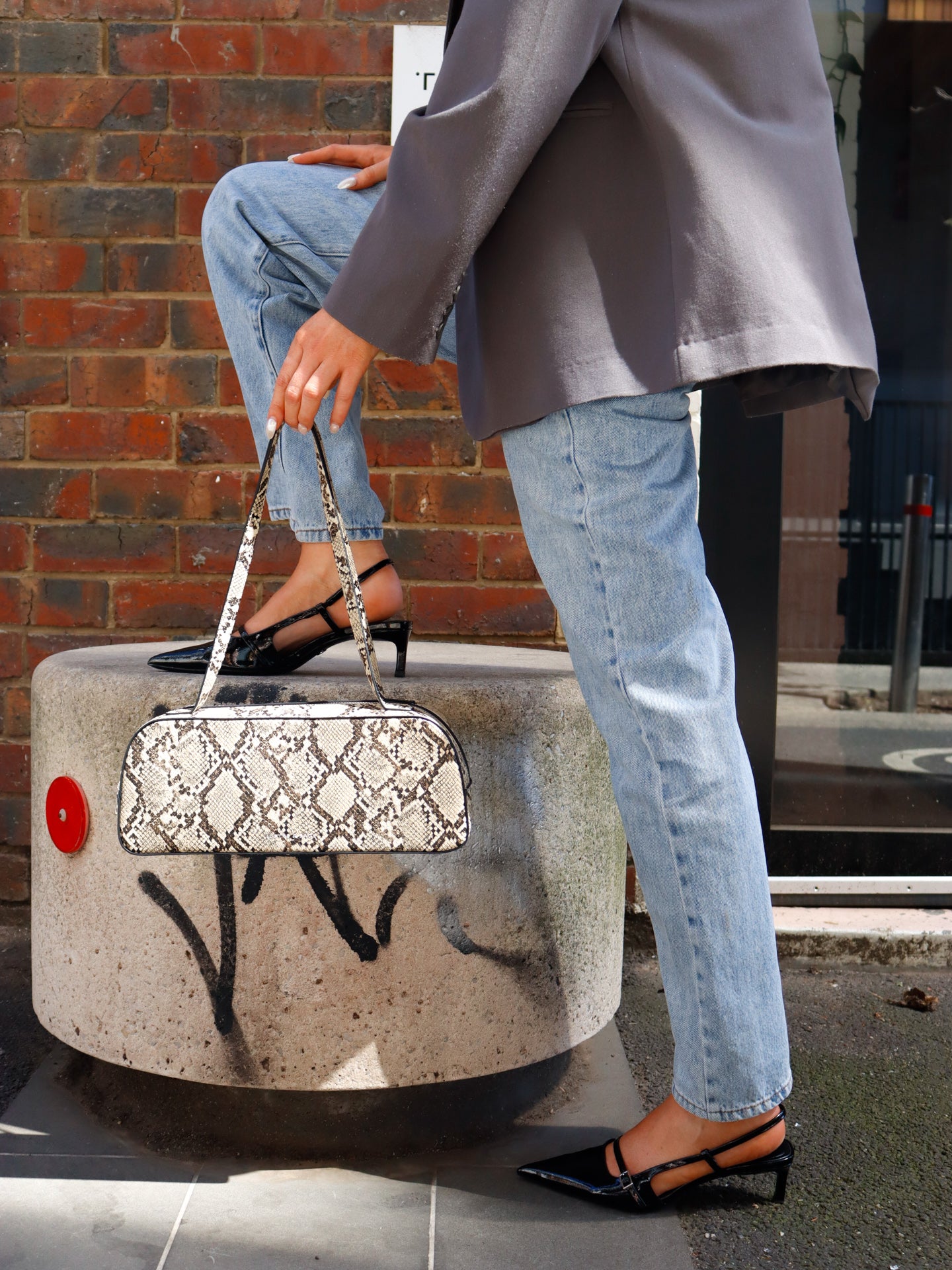 Addie Bag Snake Skin