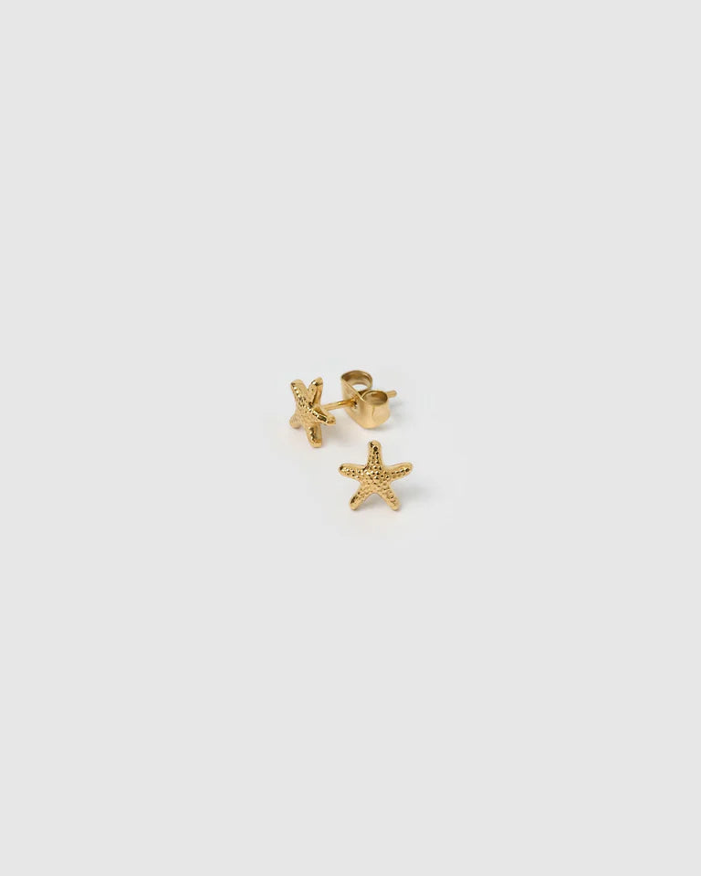 Starfish Earrings Gold