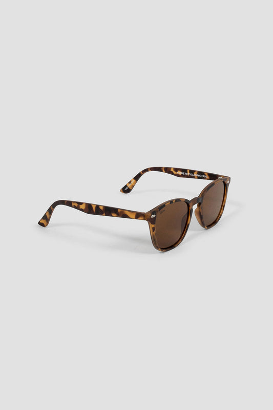 Chelsea Sunglasses - Matte Turtle