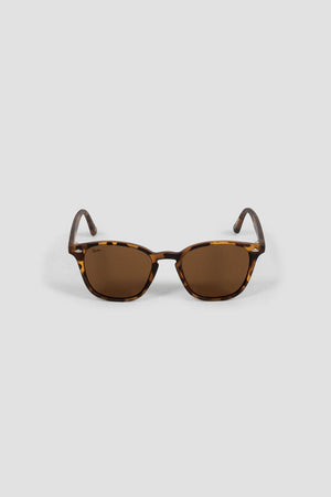 Chelsea Sunglasses Turtle