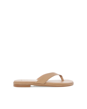 August Thong Tan