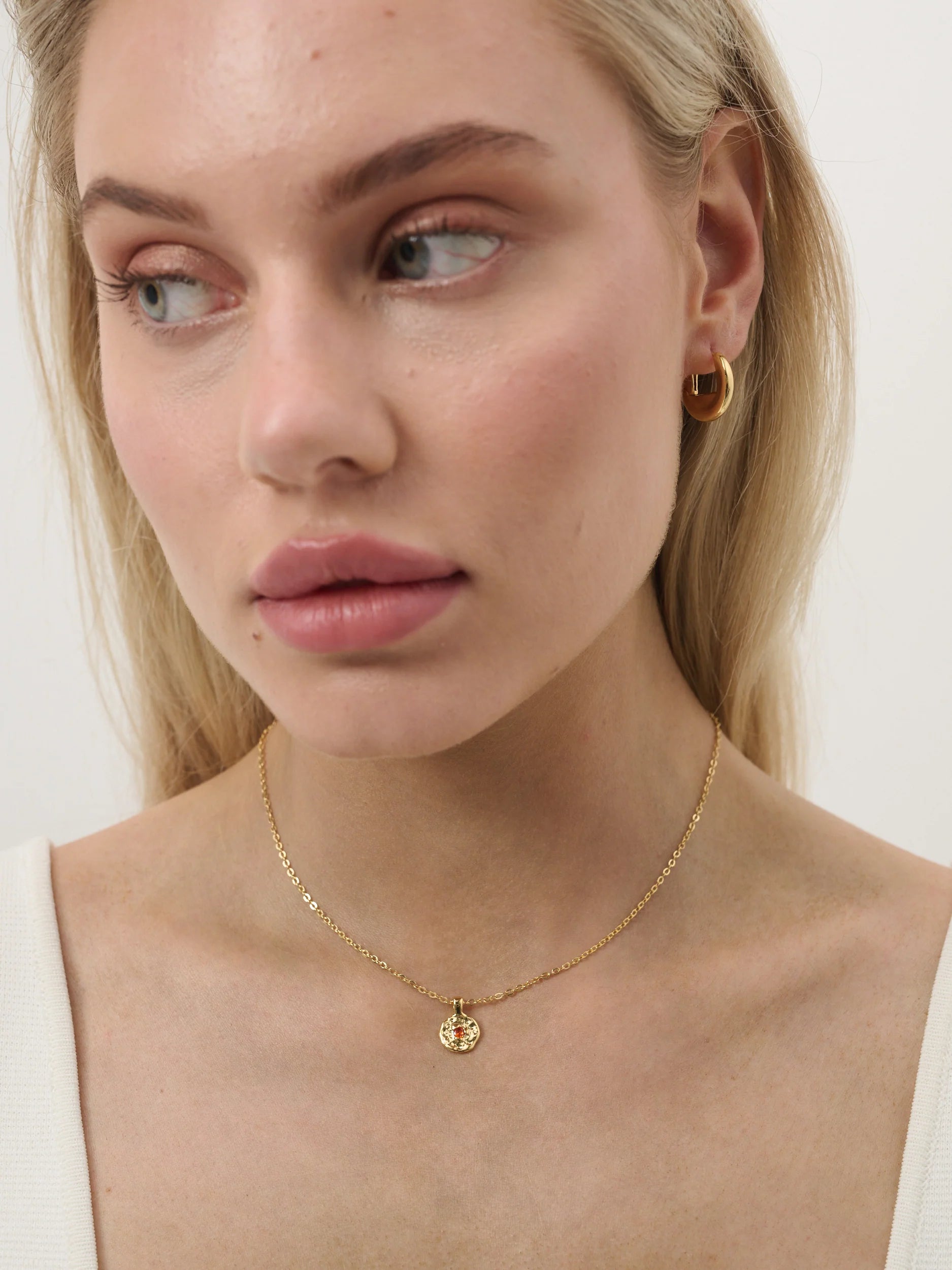 January Birthstone Necklace Garnet