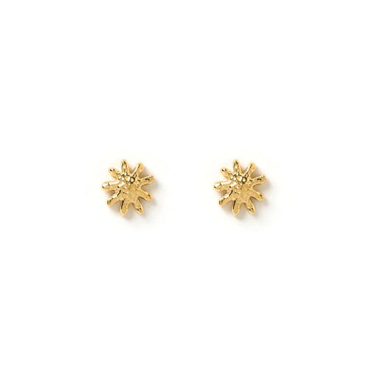 Magnolia Small Earrings - Gold